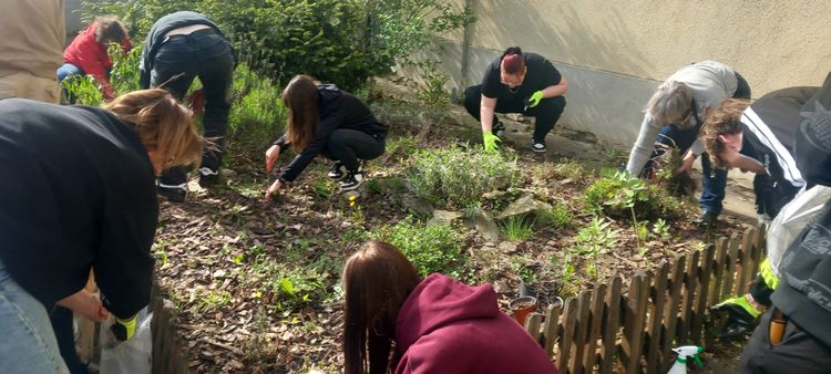 Fenntarthatósági Témahét - Kiskert